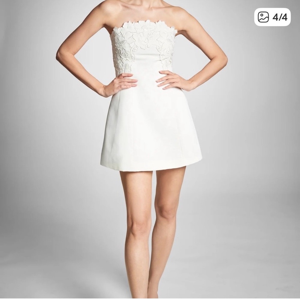 Sachin & Babi Alanna Dress (Size 2 but fits like a 4)